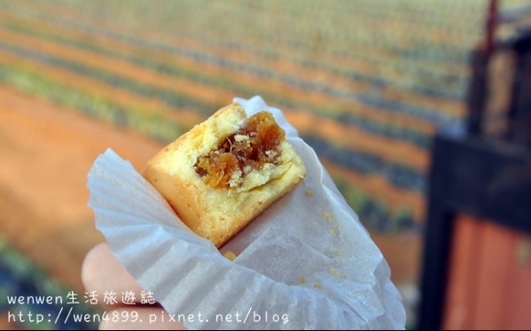 嘉義美食「旺萊山」Blog遊記的精采圖片